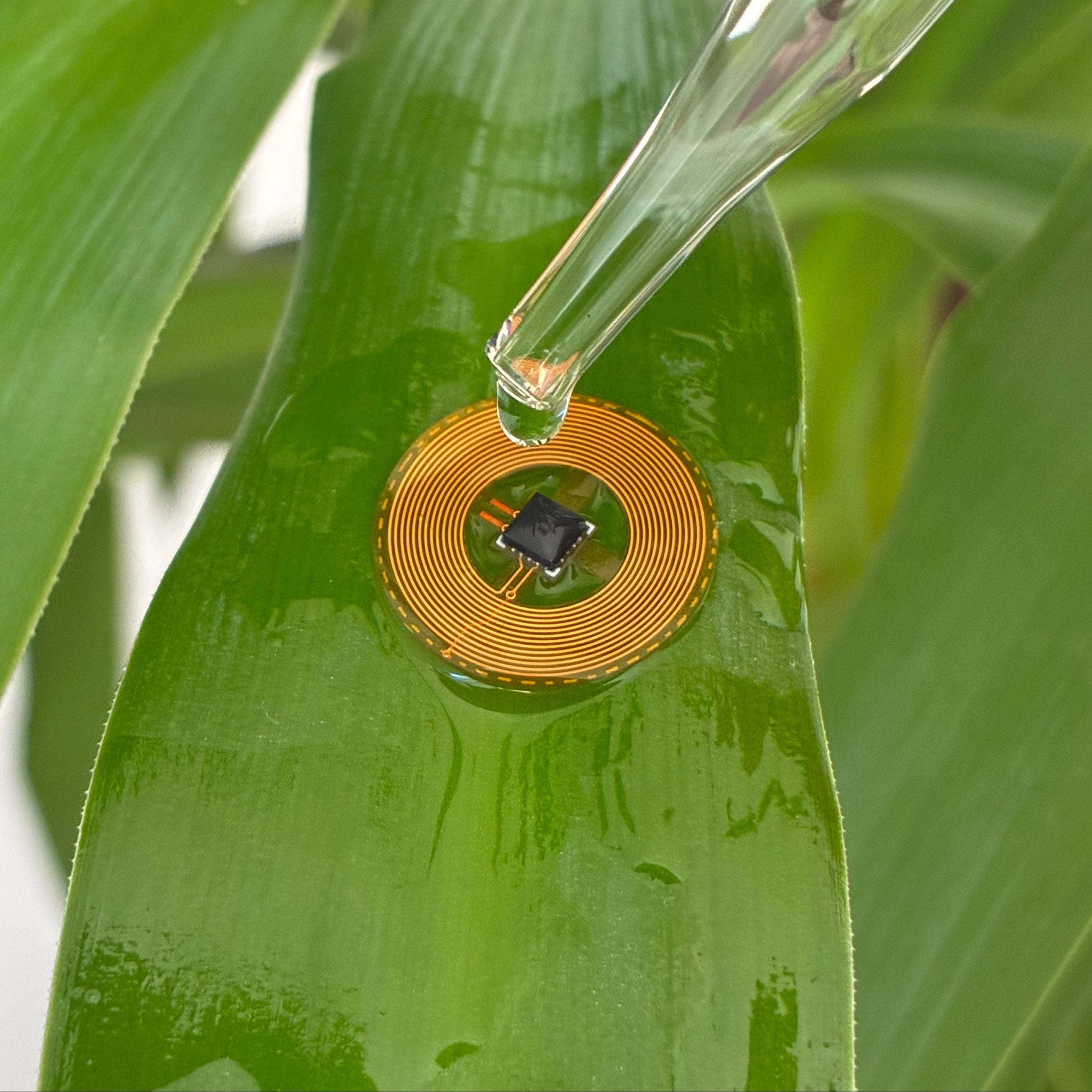 sensor in research